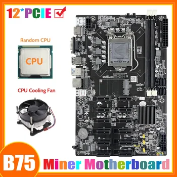 B75PE ETH Miniere Placa de baza 12 PCIE+Random CPU+CPU Ventilatorului de Răcire LGA1155 MSATA DDR3 B75 BTC Miner Placa de baza