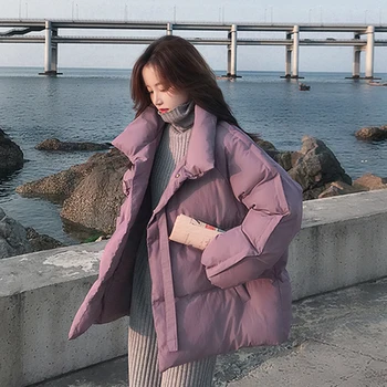 În Obrix De Sex Feminin Casual Streetwear Jacheta Talie Mare Stil Coreean Stand Guler Complet Maneca Eșarfe Îmbrăcăminte Exterioară Pentru Femei